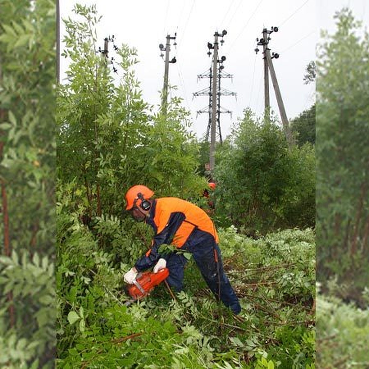 Расчистка просек линий электропередачи на особом контроле Липецкэнерго -  KP.RU