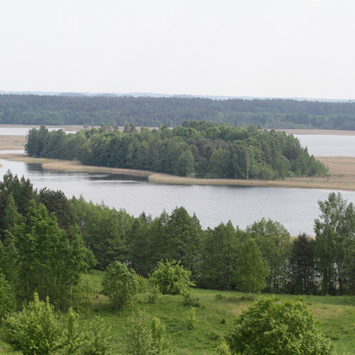 Отдых на Браславских озерах: искупаться в прозрачной воде, пожарить шашлыки  в лодке и сделать селфи с оленем - KP.RU