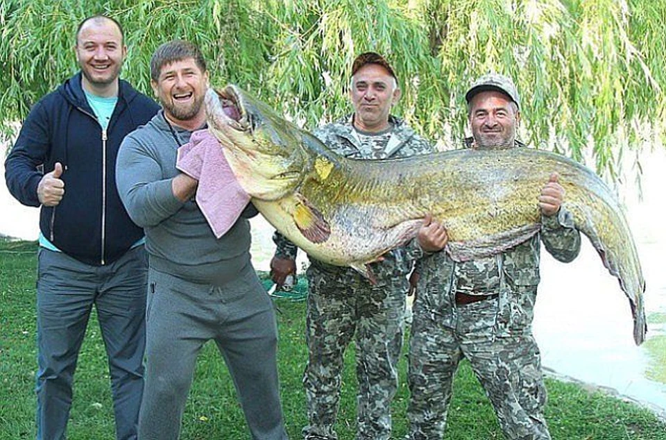 Рамзан Кадыров поймал огромного сома. Фото: Instagram