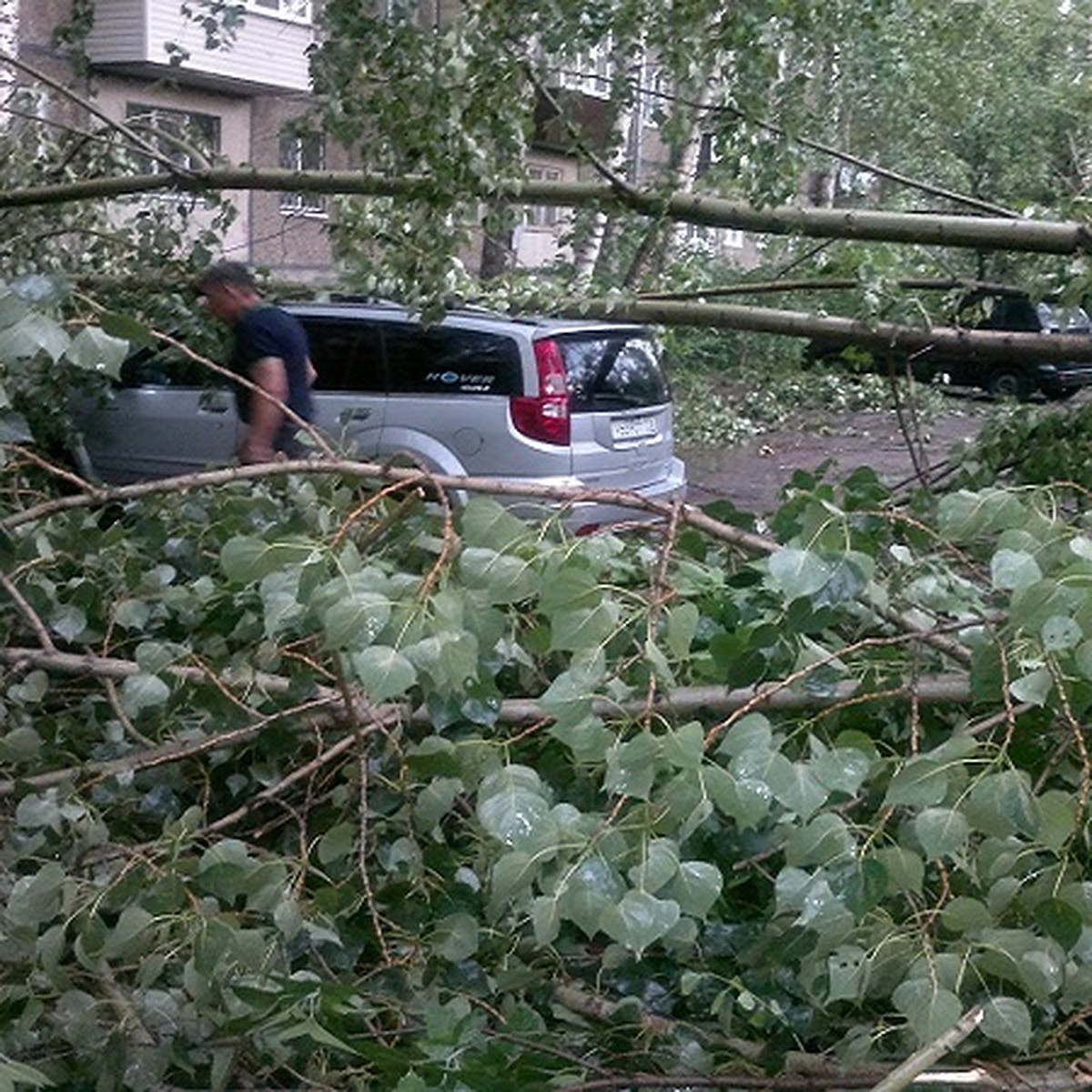 Ураган в Казани валил деревья в детских садах и крушил автомобили - KP.RU