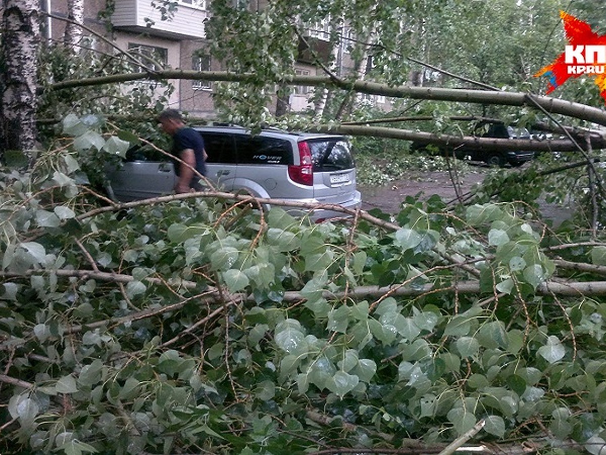 Ураган в Казани валил деревья в детских садах и крушил автомобили - KP.RU