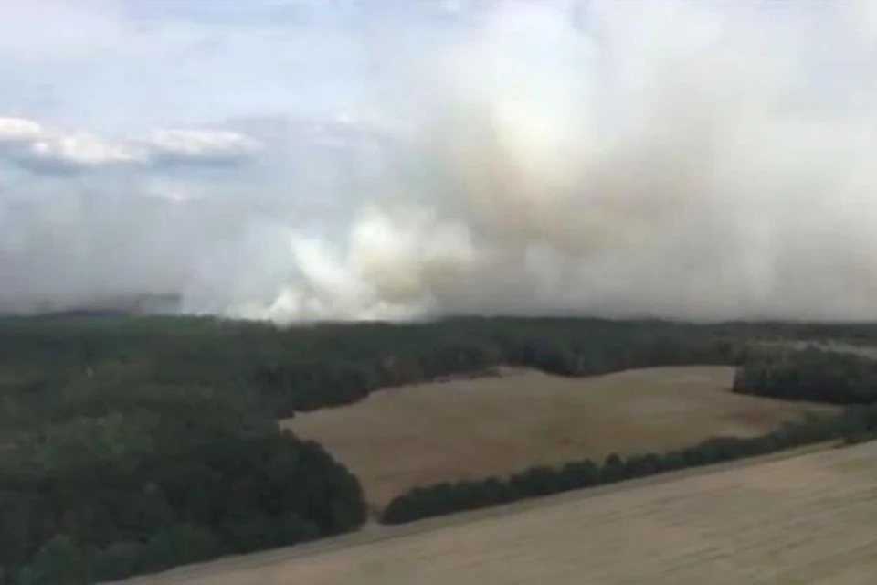 МЧС: «В Хойникском районе горит обычный лес, а не радиоактивный». Фото: МЧС.