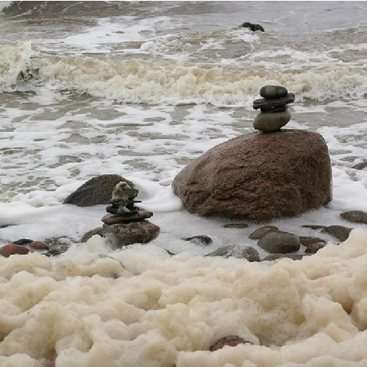 Белое море, белая ночь и соленое дерево - KP.RU