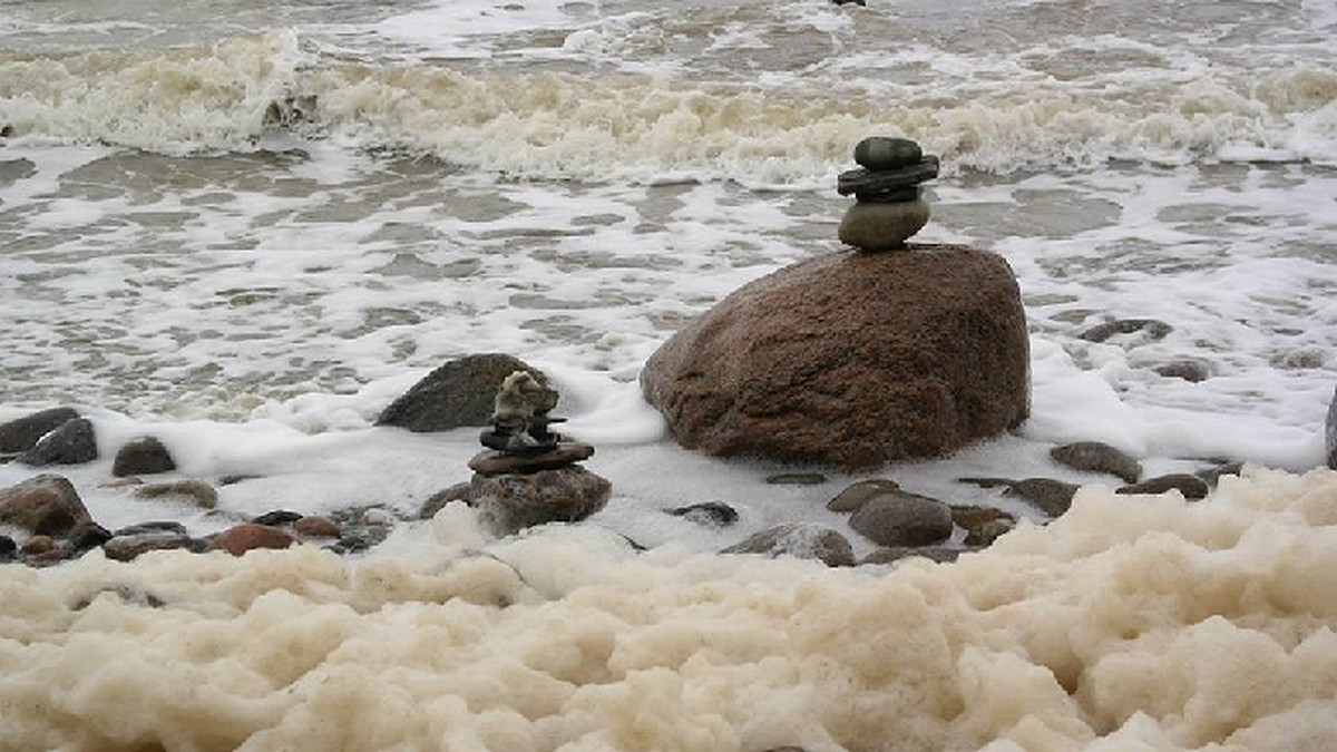 Белое море, белая ночь и соленое дерево - KP.RU