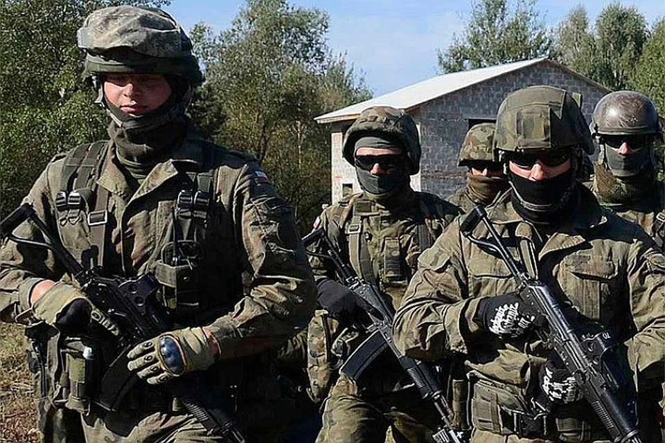 Несмотря на гражданскую войну на Украине, НАТО все же решилоcь провести в этой стране крупные военные учения Saber Guardian/Rapid Trident-2015.