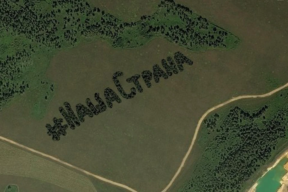 Челябинцы высадят из хвойных деревьев геоглиф #НашаСтрана