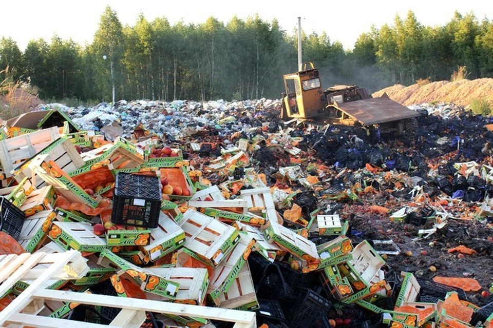 Вчера под Смоленском уничтожили около 70 тонн фруктов и овощей. Фото: пресс-служба Россельхознадзора.