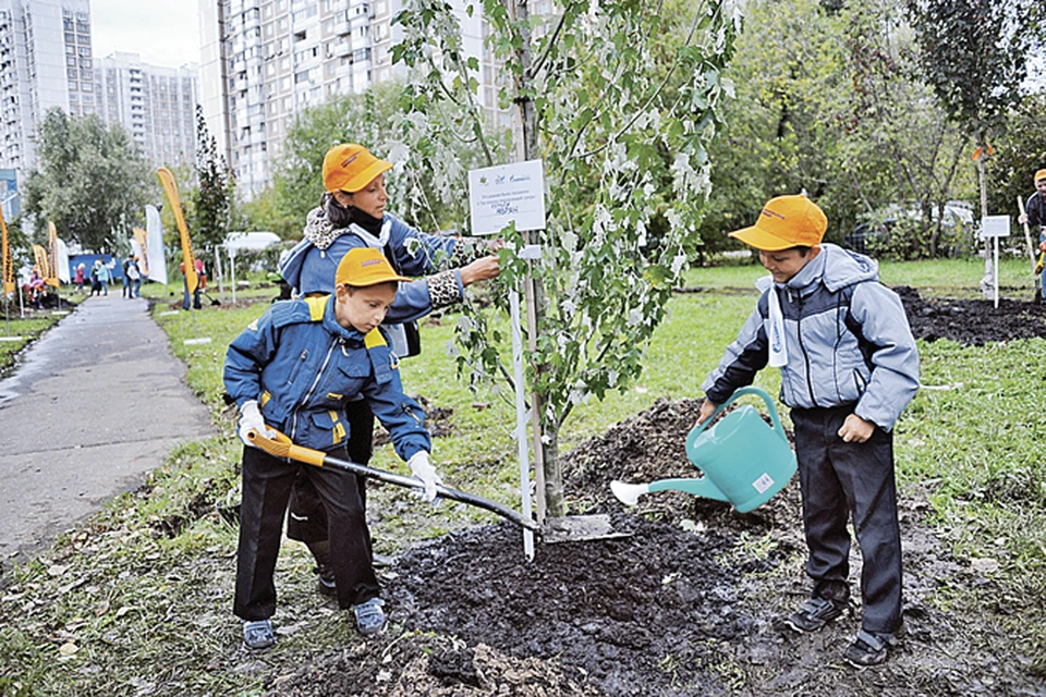Деревьев, посаженных всей семьей, в Москве станет еще больше!
