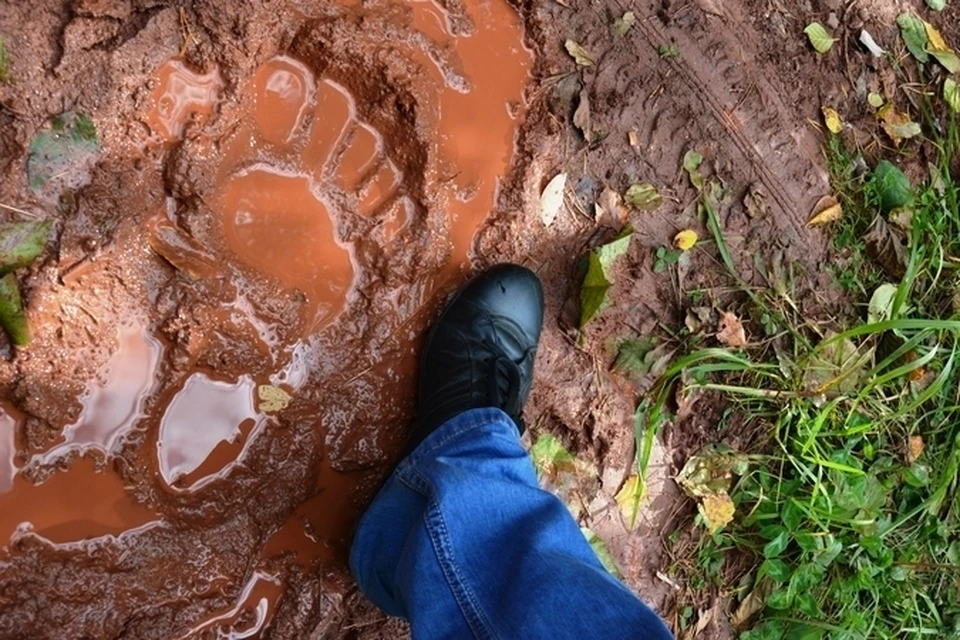 Йети в лесу у Братска: снимок ноги таинственного существа обсуждают в соцсетях и на форумах. ФОТО: ТК "Город"