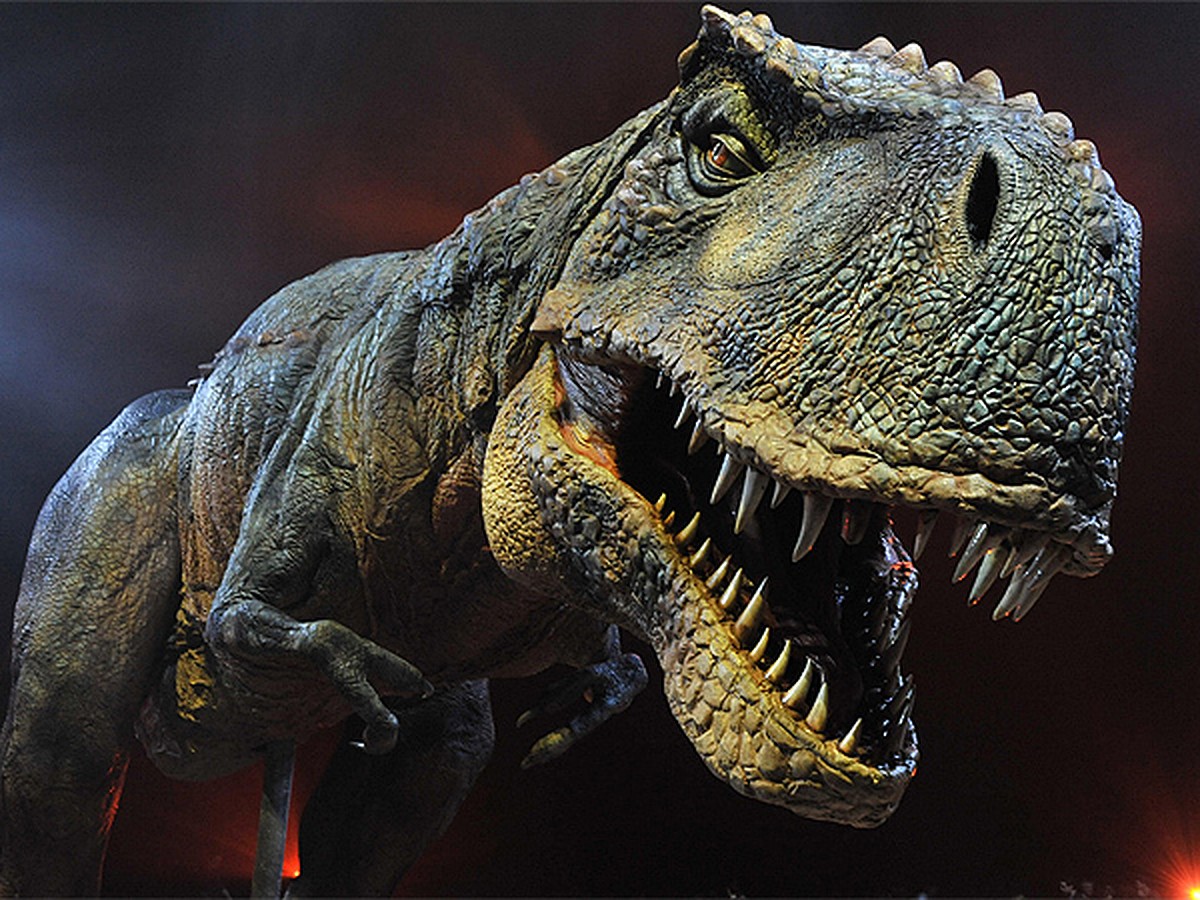 Детский проект «Почему вымерли динозавры»