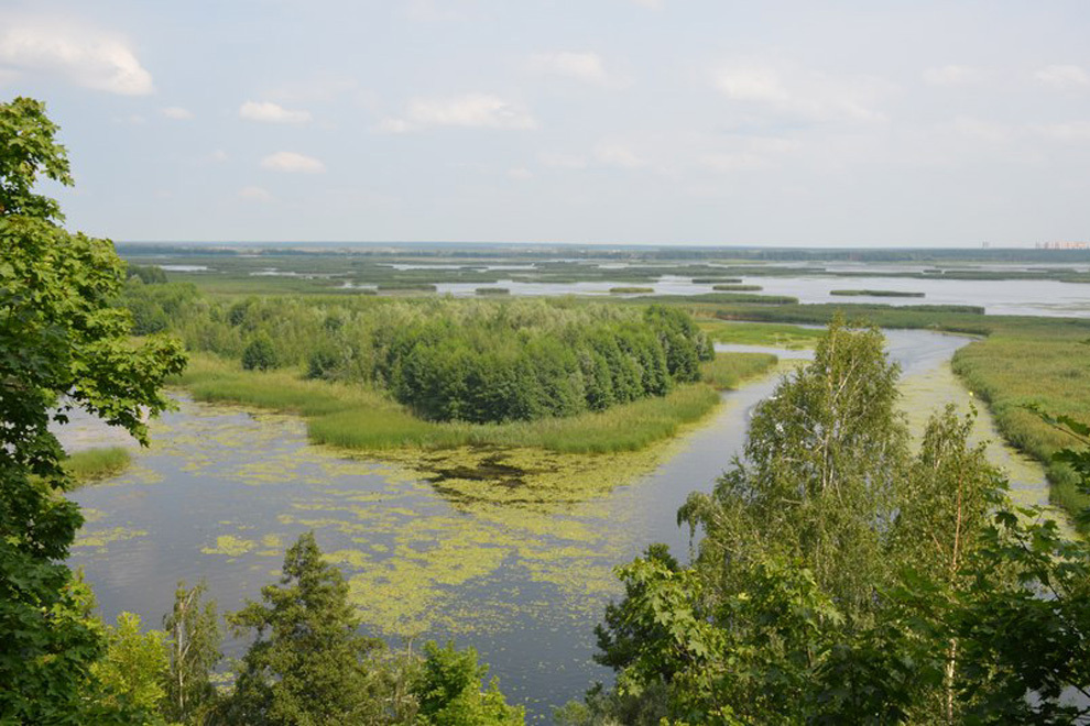 Белая гора воронеж фото