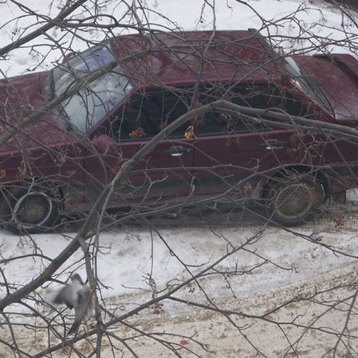 Задолжал алименты – попрощайся с авто! - KP.RU