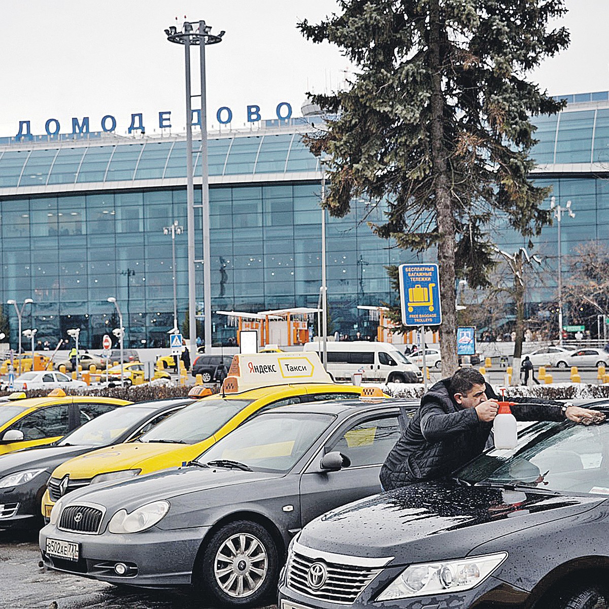 Как я устраивался «бомбилой» в московских аэропортах - KP.RU