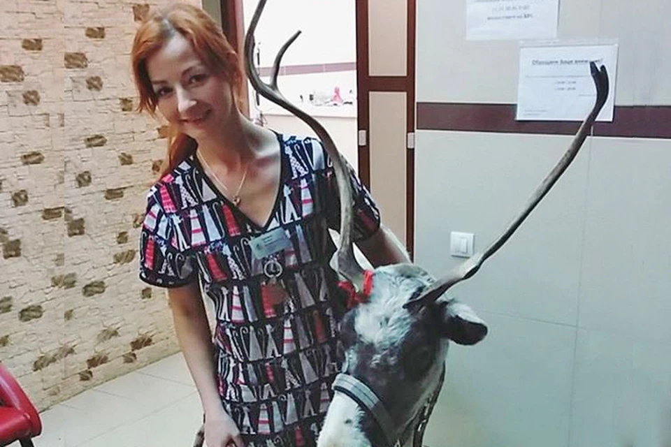 Альхо, как оказалось, очень любит фотографироваться! На этом снимке он вместе с доктором Полиной Ереминой.
Фото: vk.com/vetbest