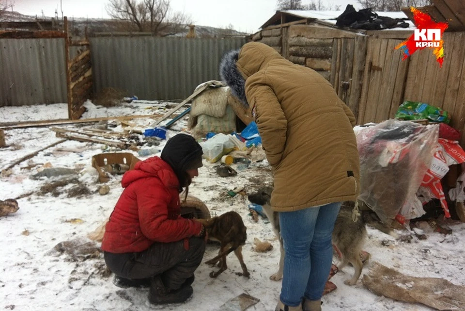 В так называемом приюте - разруха и голод.