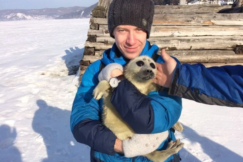Нерпенка, которого спасли туристы на Байкале, назвали Юкки