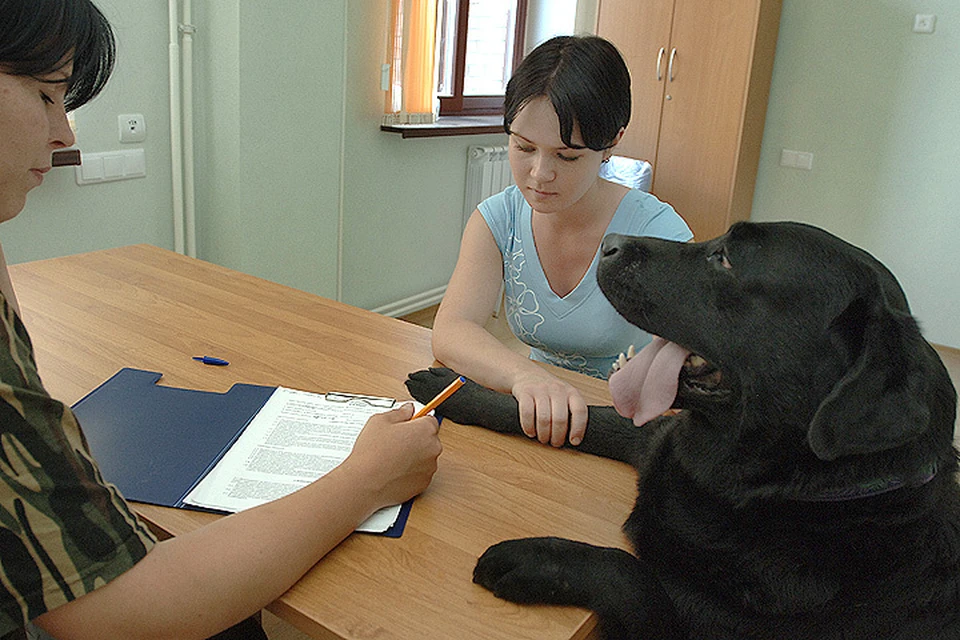 В специализированной гостинице для собак в Зеленограде. Фото ИТАР-ТАСС/ Станислав Красильников
