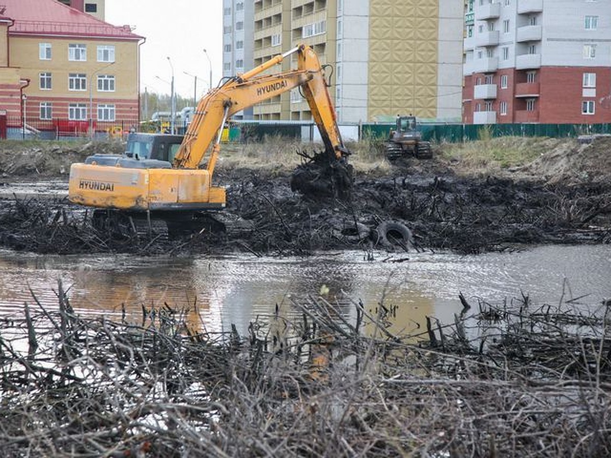 В новом сквере Серебряные Ключи в Тюмени высадят 158 деревьев - KP.RU