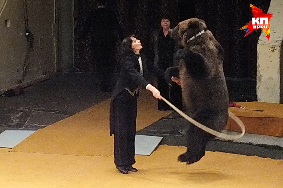 "Программа "Легенды цирка".