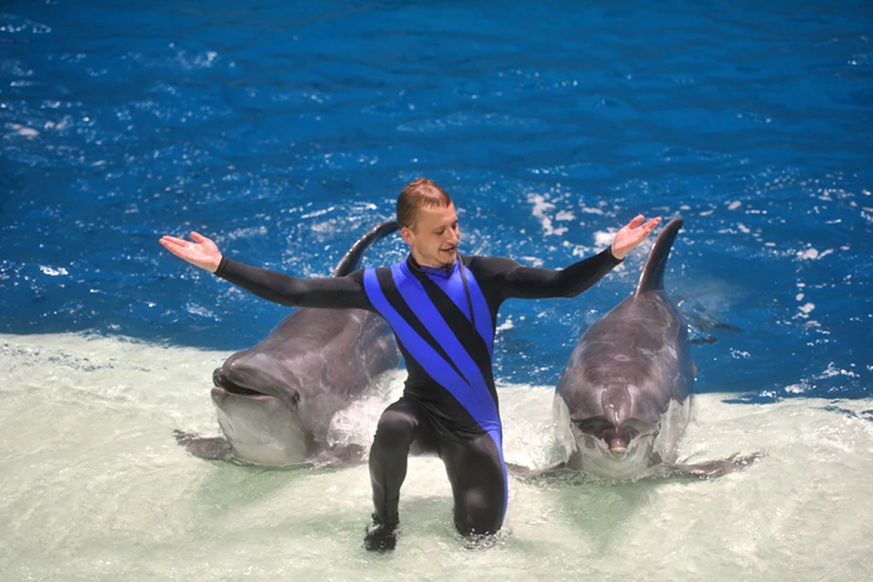 В «Москвариуме» теперь можно поплавать с дельфинами!
