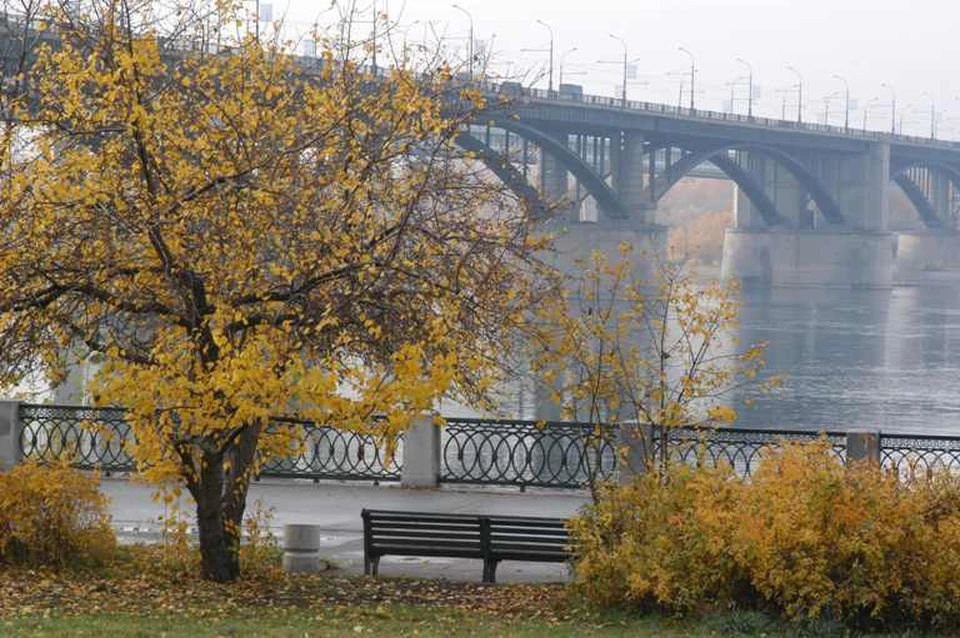 Осень В Новосибирске Фото