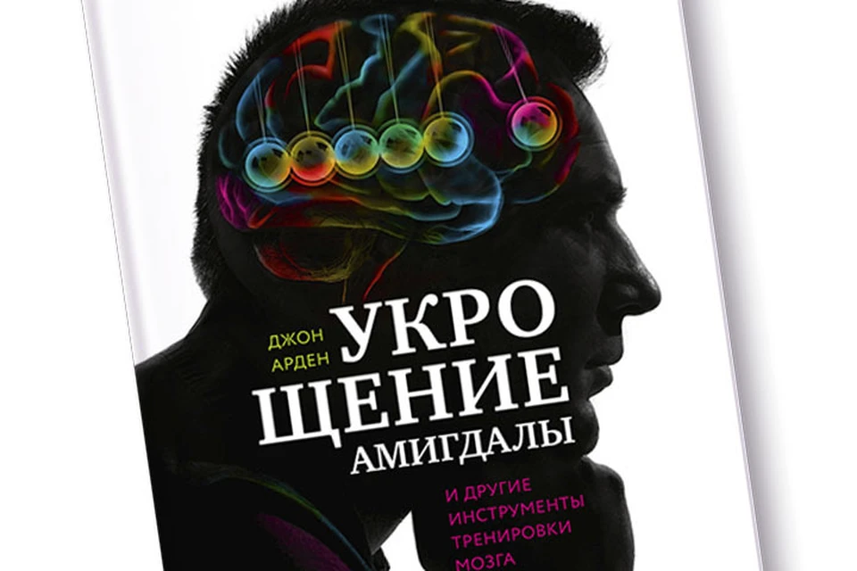 Мы есть у мозга. Книга с мозгом на обложке. Укрощение амигдалы и другие инструменты тренировки мозга. Тренируем мозг книга обложка. Настройка мозга.