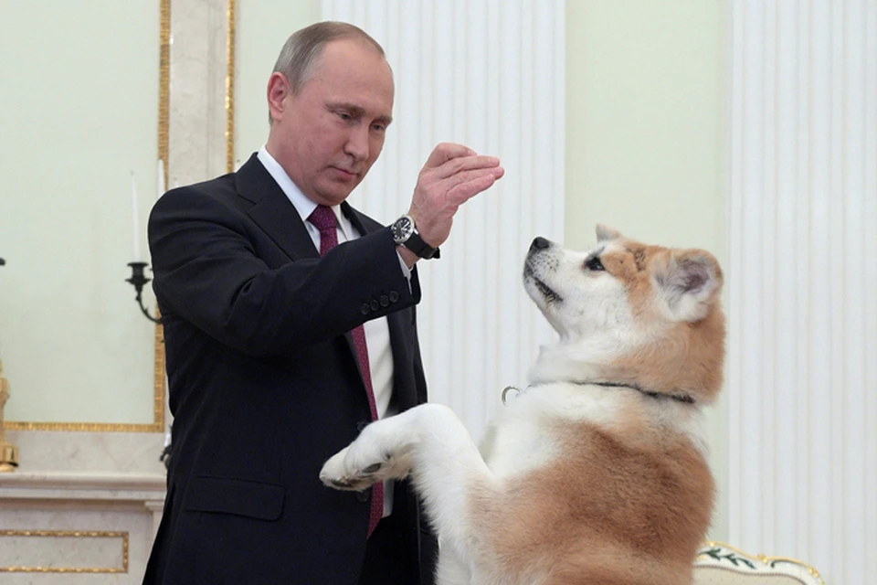 На пресс-конференции в Токио президент вновь вспомнил о своей собаке Юмэ