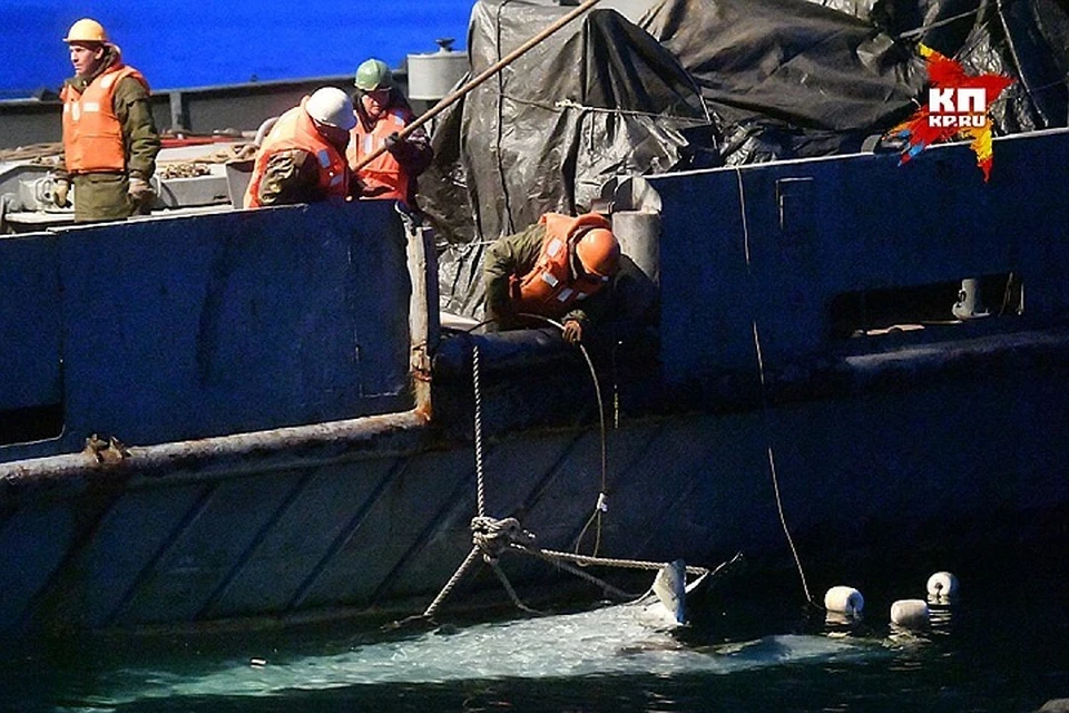 Из воды постоянно достают детали погибшего лайнера и вещи пассажиров