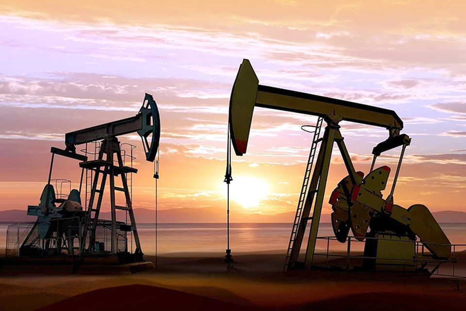 Нефтедобывающие компании Литвы в прошлом году добыли 77,37 тыс. кубометров нефти. Фото: с сайта Lrytas.lt