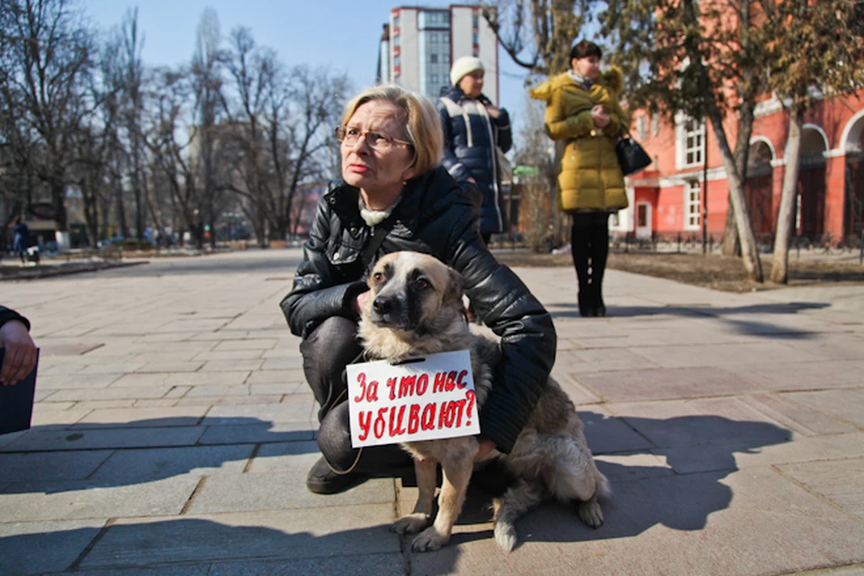 Зоозащитники. Зоозащитники города Москва. Портреты зоозащитников. Защита животных протесты в США. Лариса зоозащитник.