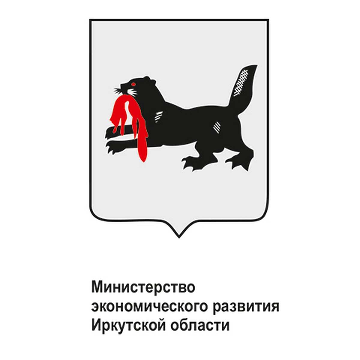 Задайте вопросы по поддержке предпринимательства в регионе заместителю  министра экономического развития Иркутской области - KP.RU