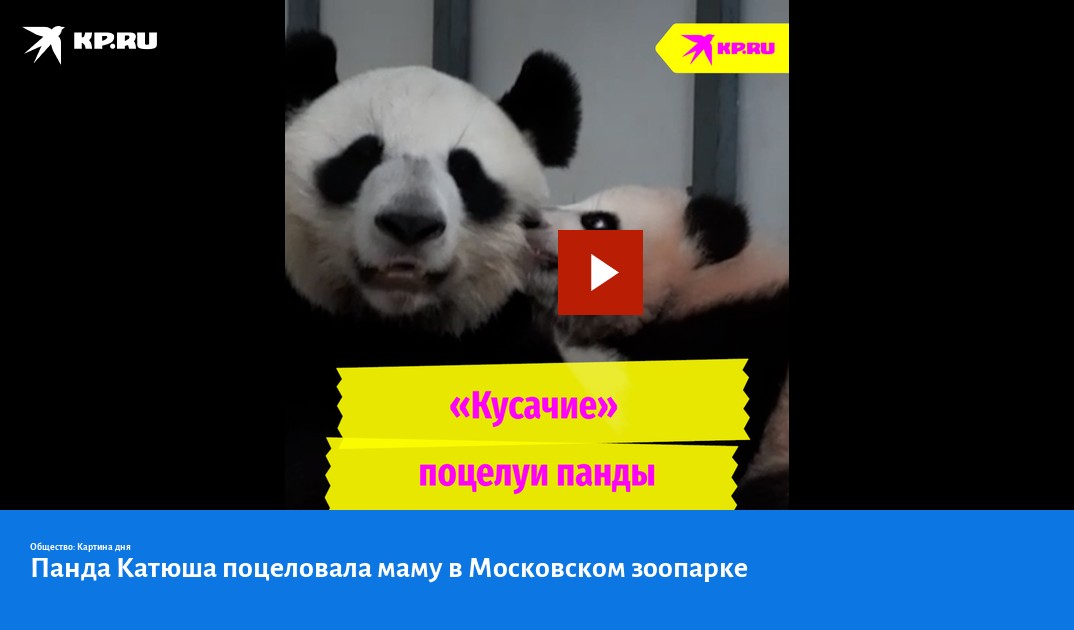 поцелуйте мамины руки