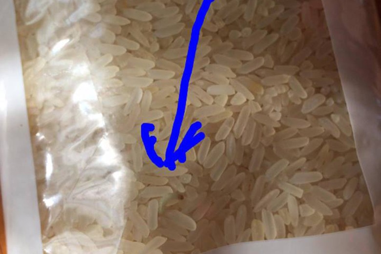 Личинки в рисе фото