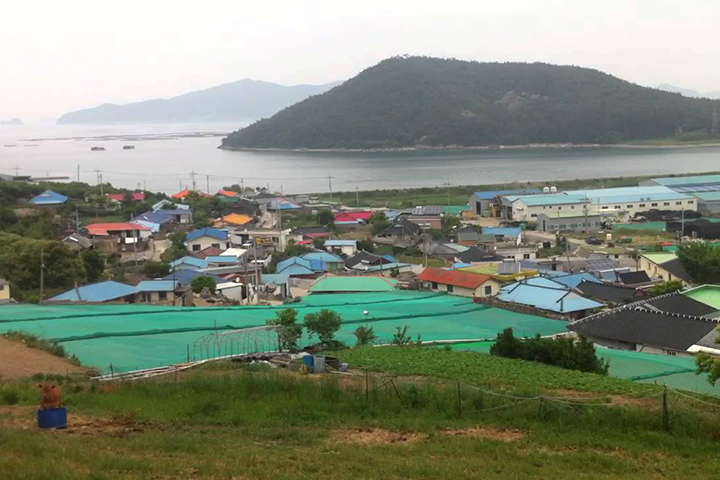 Остров Камиль. Зеленые поля — это сетки, на которых сушат ташиму