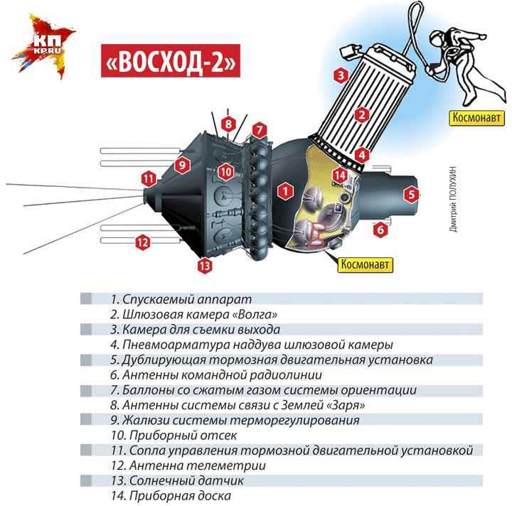 Схема корабля, на котором летели Павел Беляев и Алексей Леонов.