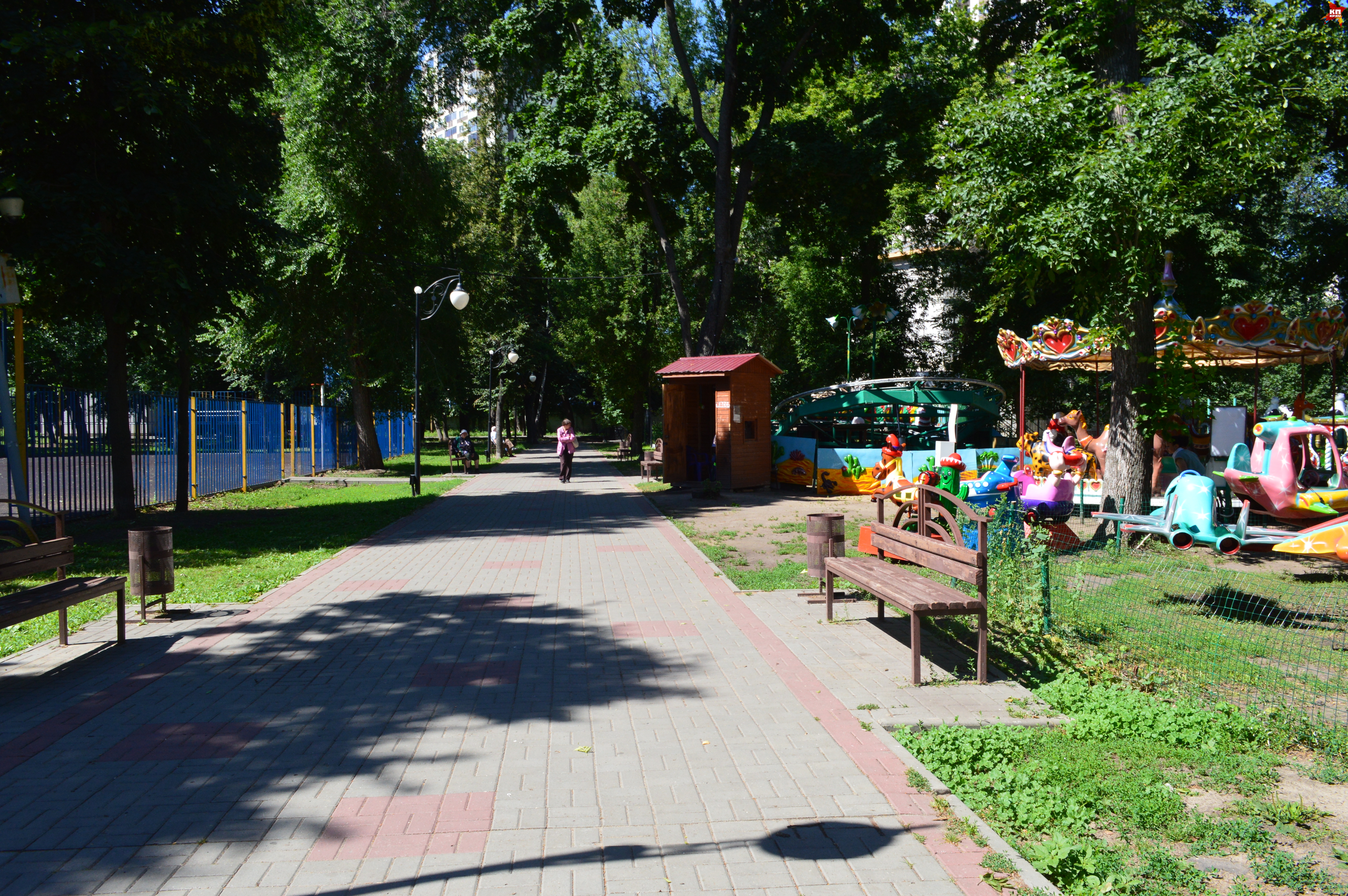 фото: Ольга ФЕДОСОВА