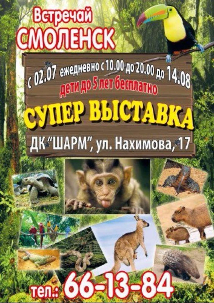 Куда сходить в выходные в Смоленске? - KP.RU