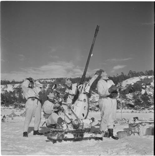 Финские военные