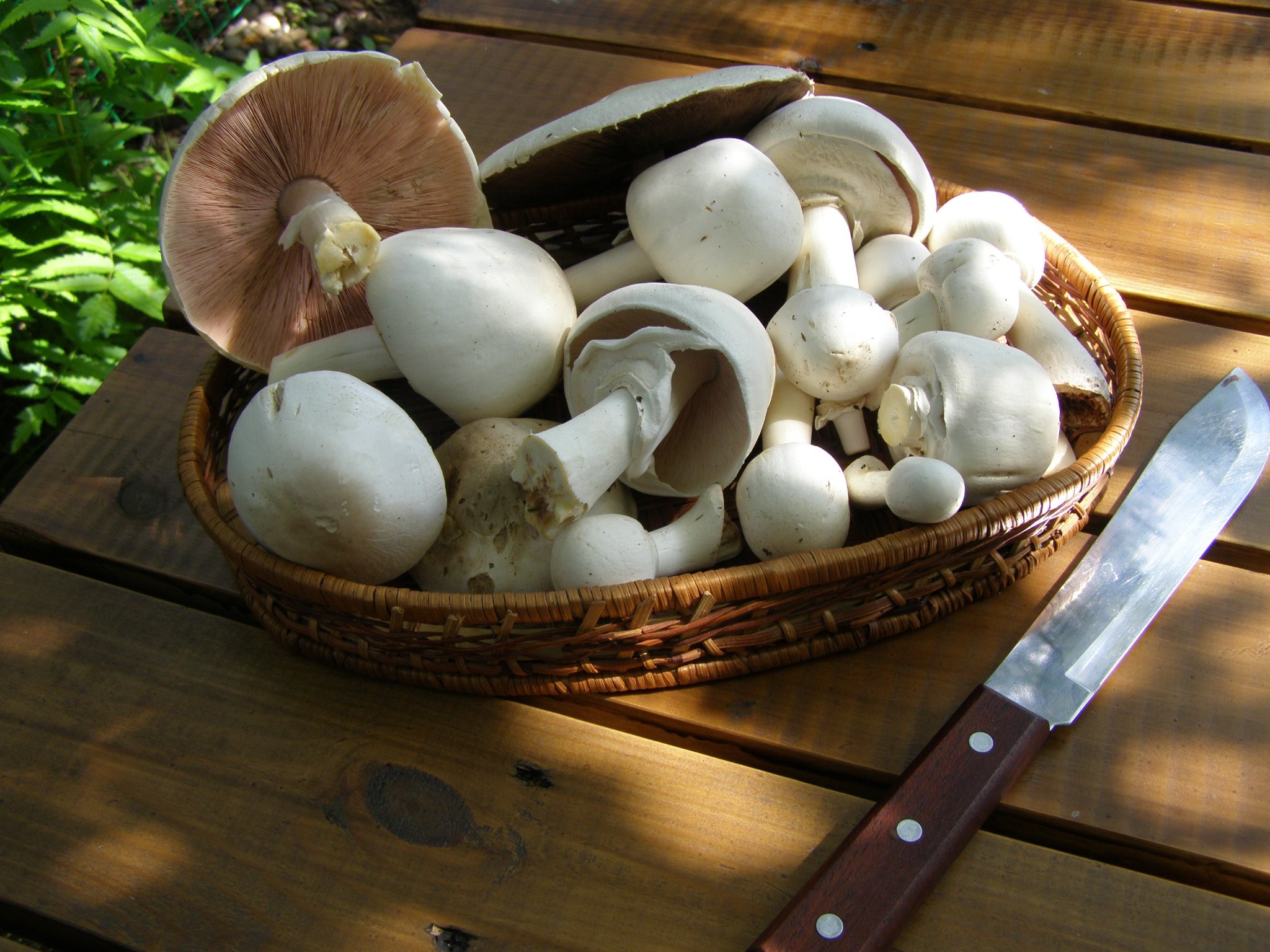 Одно дело – собрать. Но хранить тоже нужно с умом.