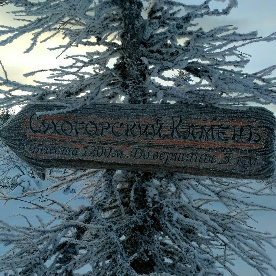 Последняя запись Елены Подкорытовой в соцсетях - фотография с Сухоложского камня. Фото: соцсети
