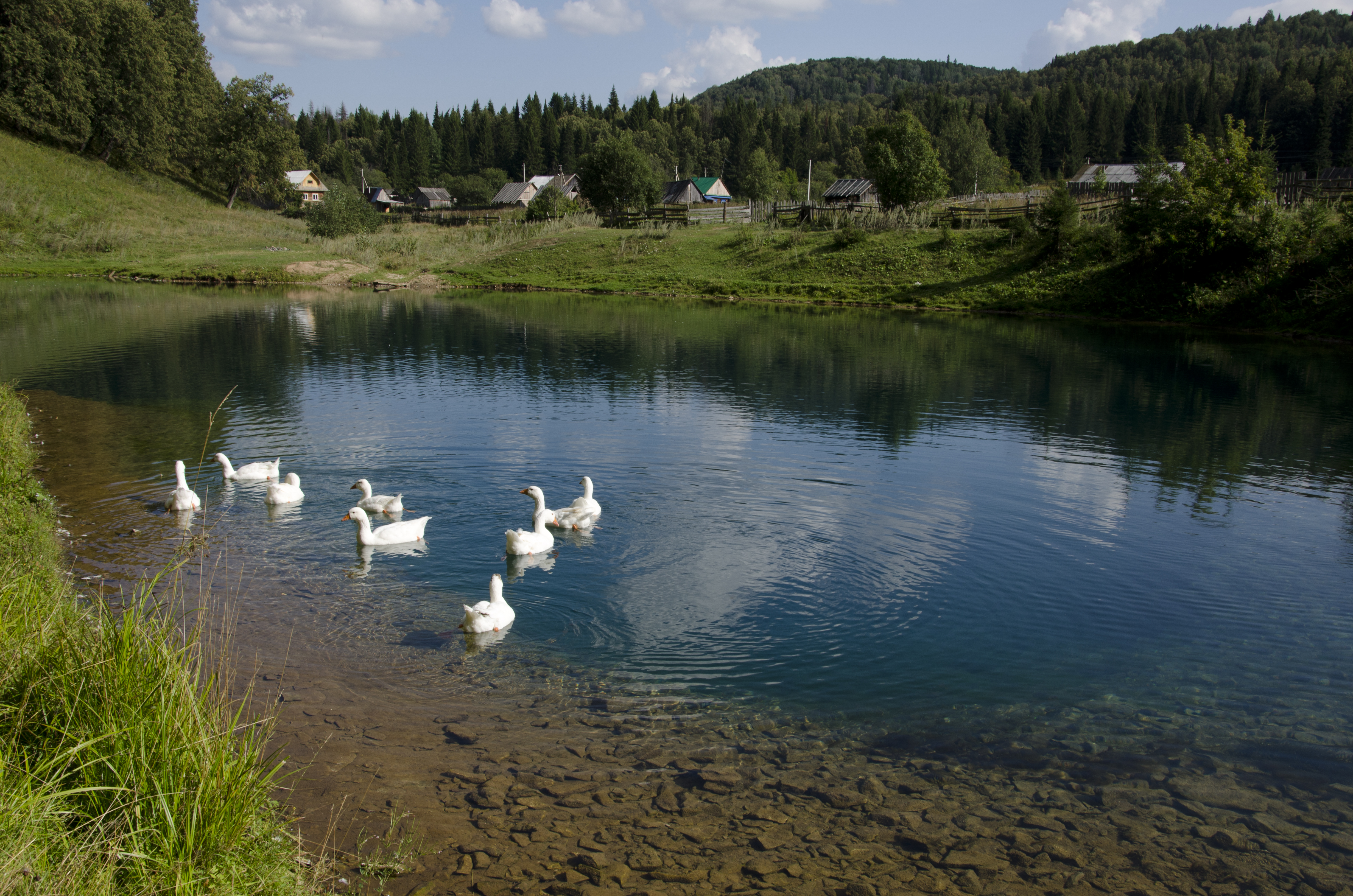 Озеро источник Сарва