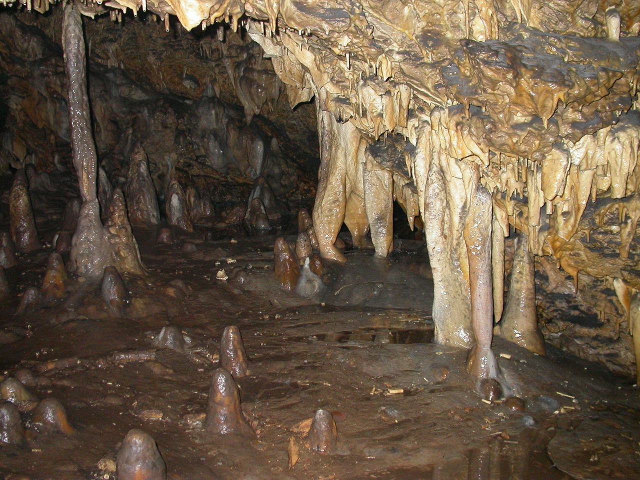 В Медвежьей пещере древние охотники приносили жертвы языческим богам. Фото: Википедия