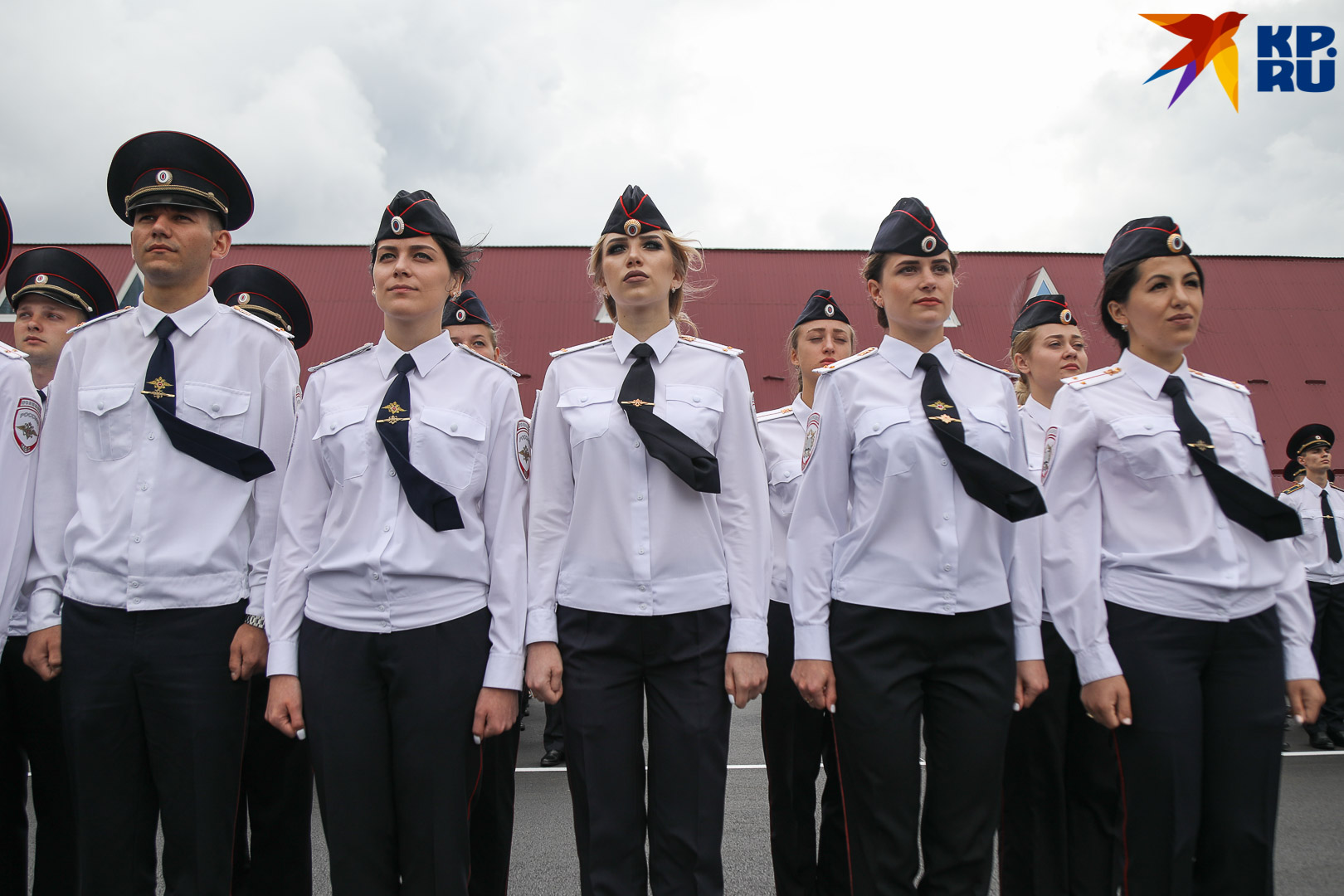 Выпуск мвд 2019