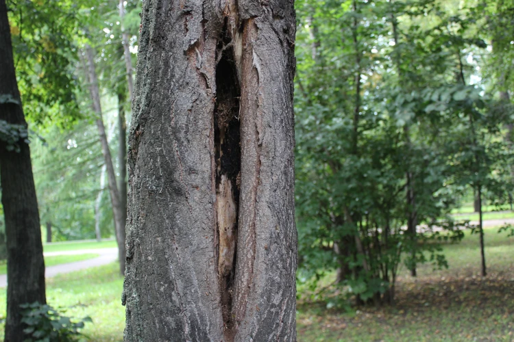 Секс мультфильмдерін жүктеп алыңыз Ren TV арнасында көрсетілген порно