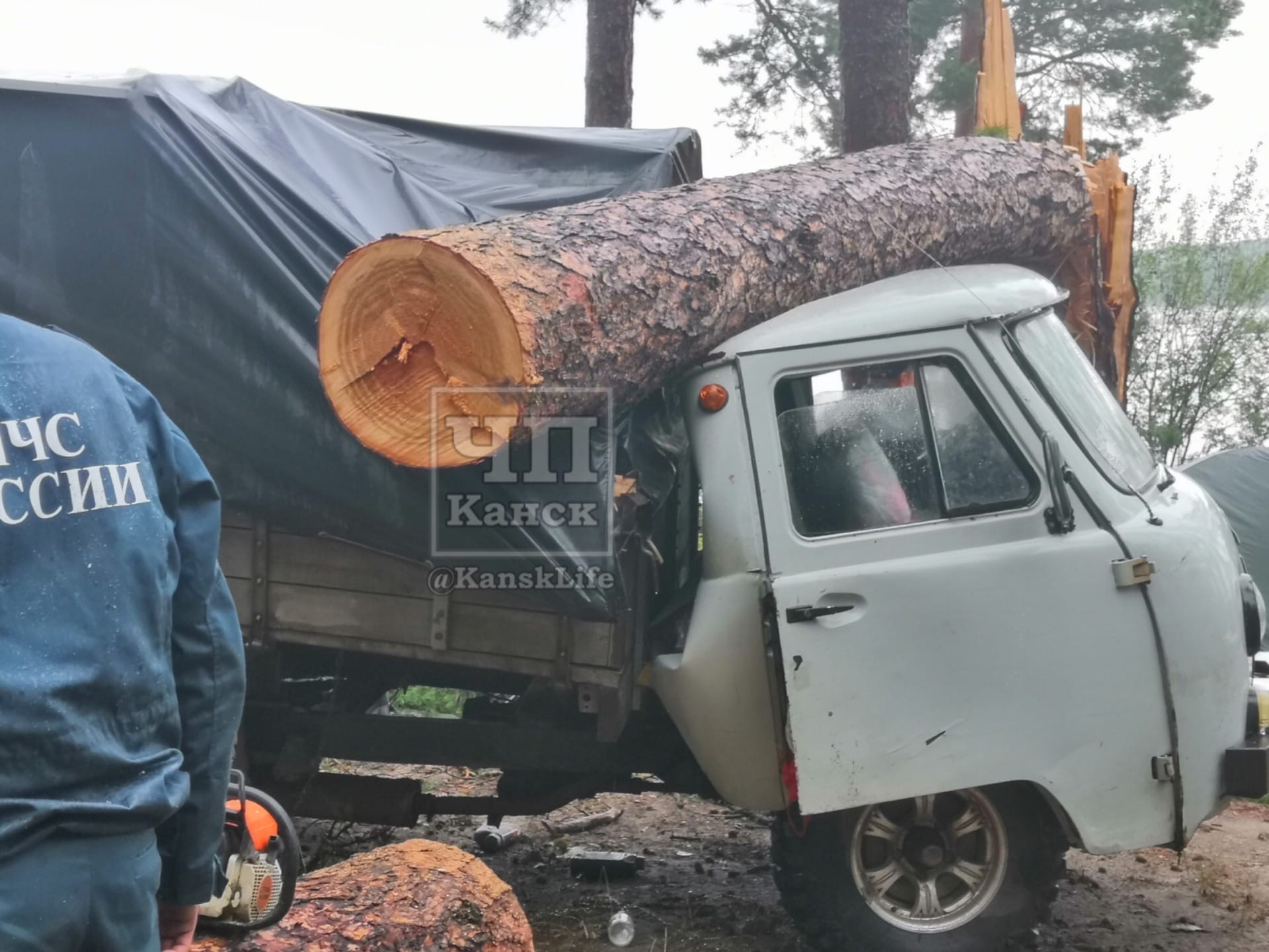В момент урагана деревья становятся не укрытием, а угрозой. Фото: "ЧП Канск"