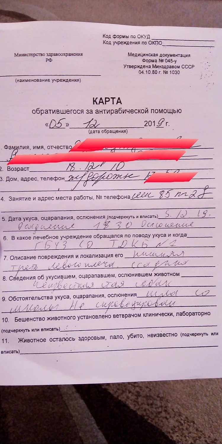 В Тольятти родители не держат зла на собак, которые покусали их детей -  KP.RU