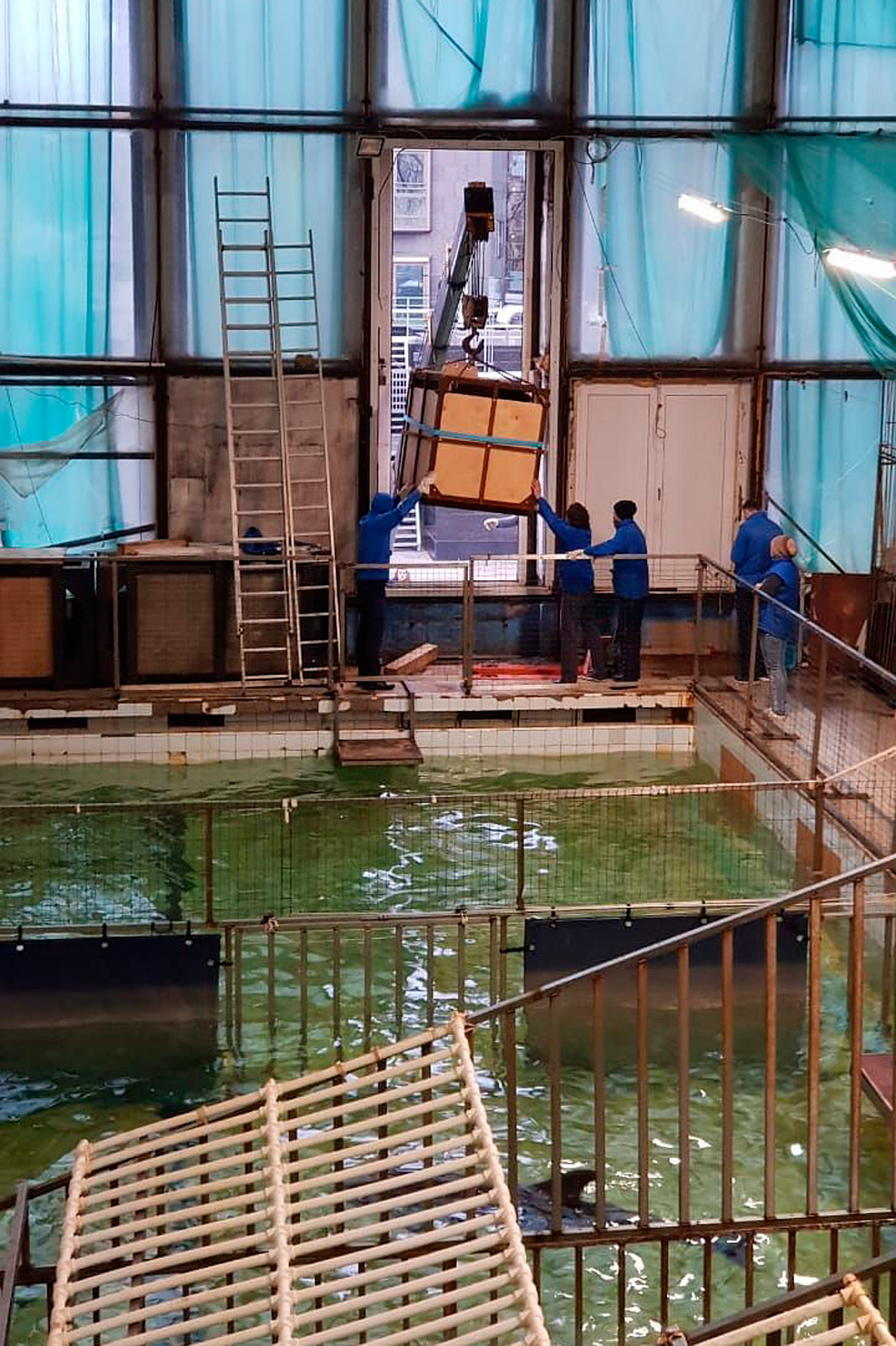 Вот так из дельфинария увозили морских львов. Фото: Игорь Костов