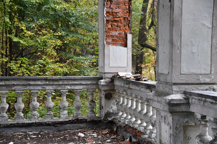 Из Дырки В Стене Вдруг Вылез Член – Telegraph