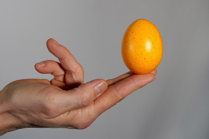 Kurkuma dodá vejcím žlutou barvu. Foto: pixabay.com
