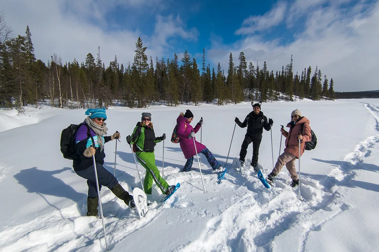 Как выбрать лыжи для охоты + мастер-класс по изготовлению лыж своими руками